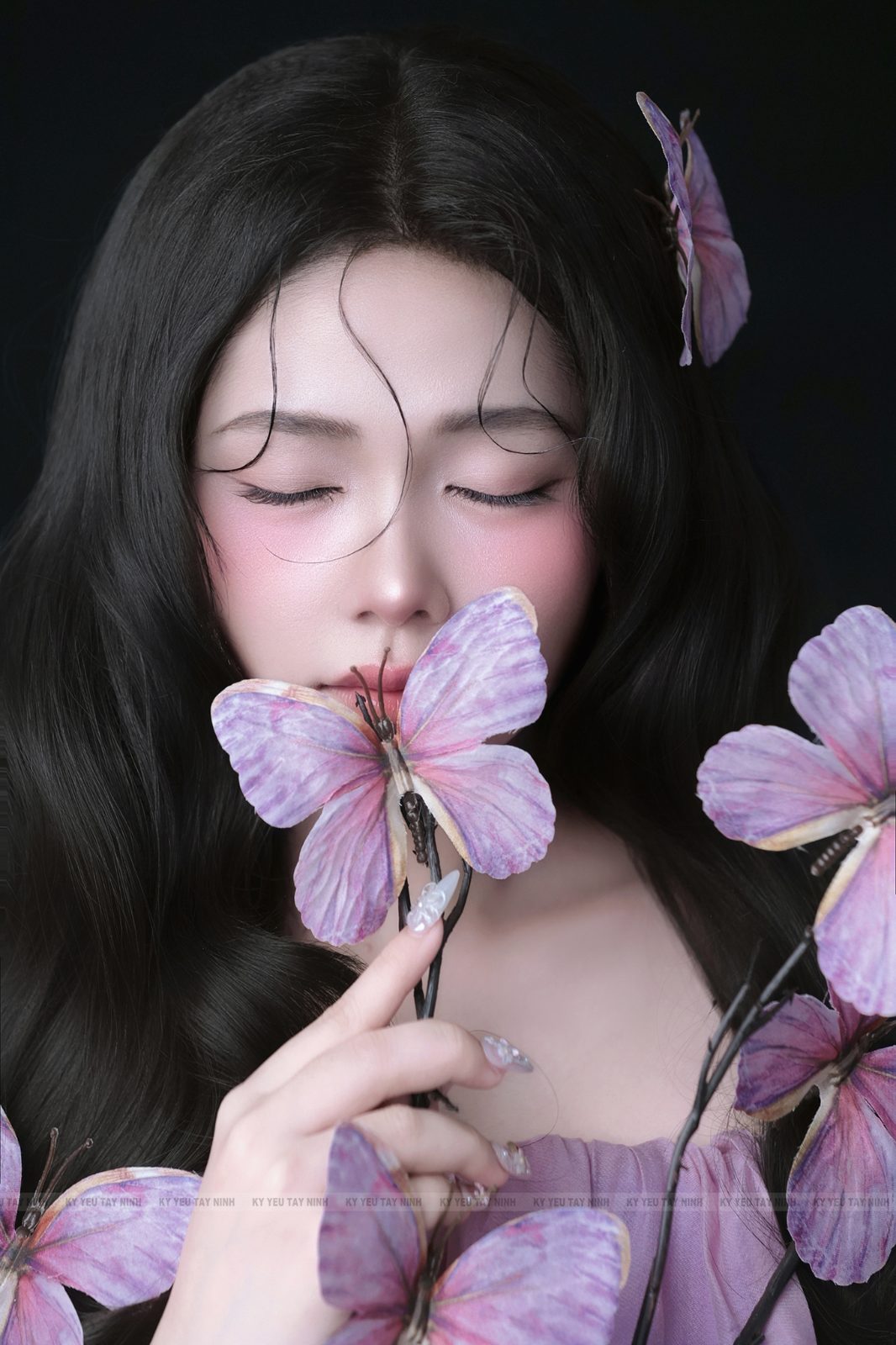 Bướm tím — ảnh 8