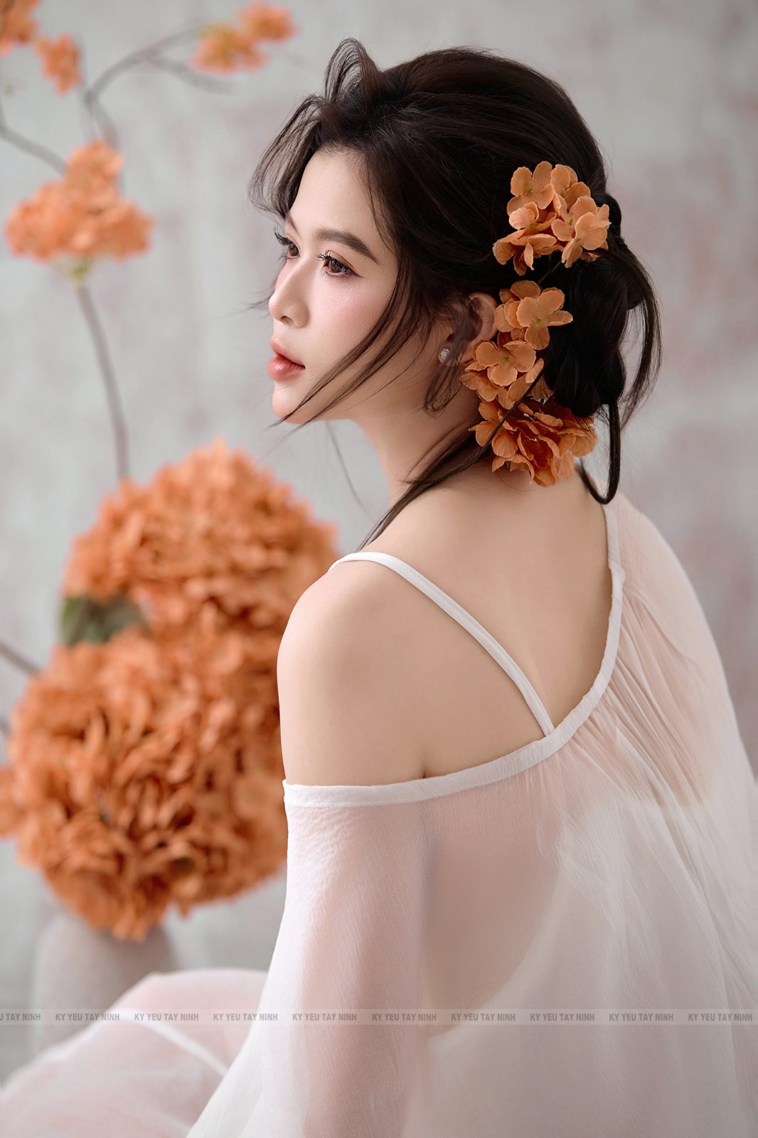 Cẩm tú cầu — ảnh 4