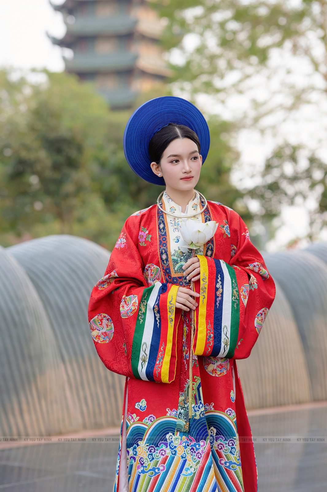 Nhật Bình - ảnh 7