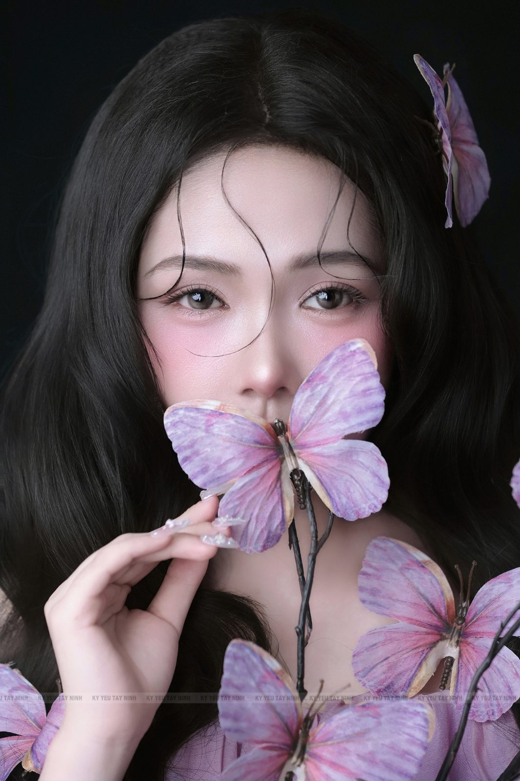 Bướm tím — ảnh 3