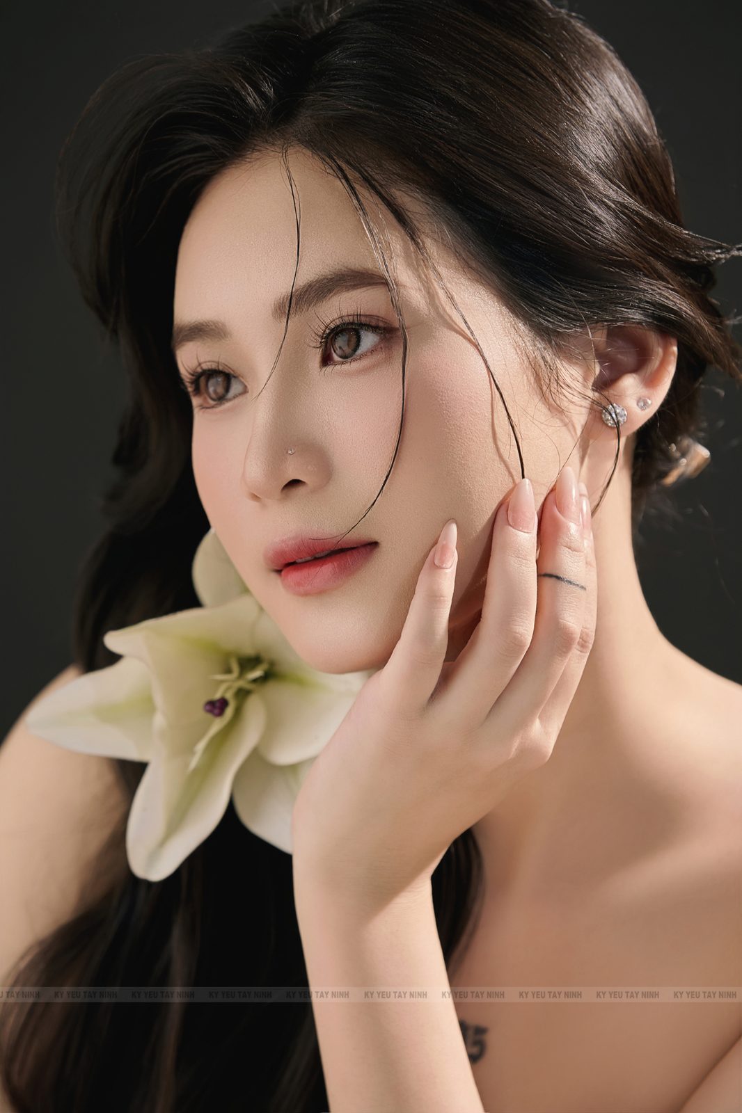 Hoa ly — ảnh 7