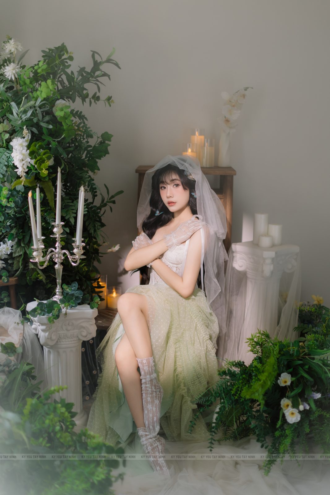 The forest — ảnh 8