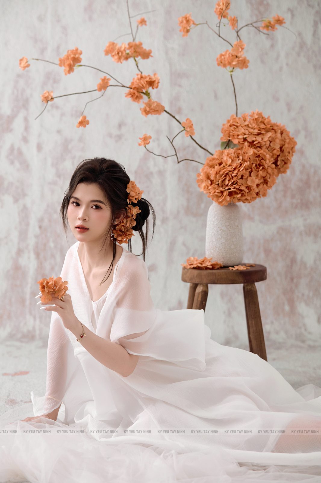Cẩm tú cầu — ảnh 3