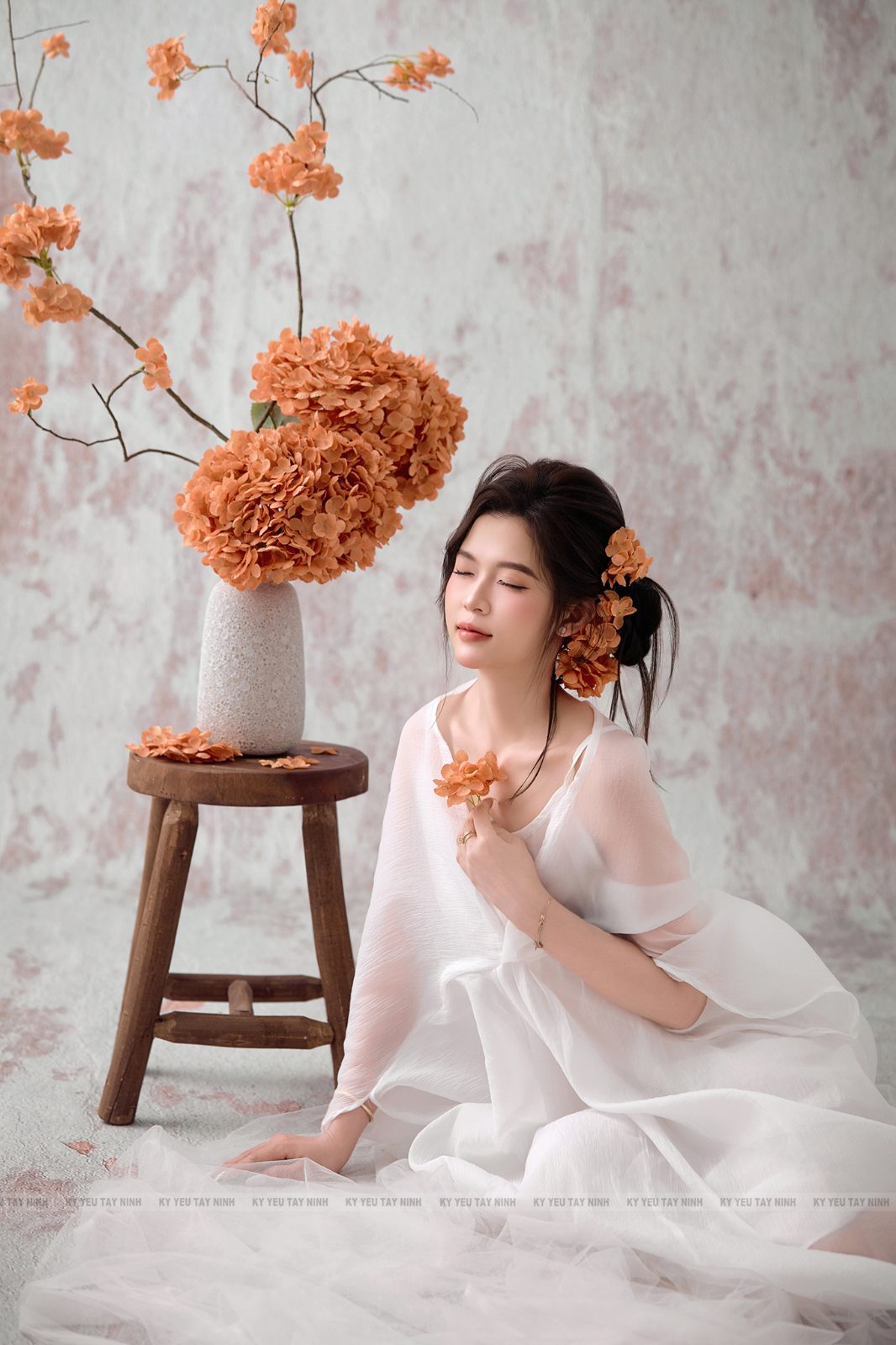 Cẩm tú cầu — ảnh 2