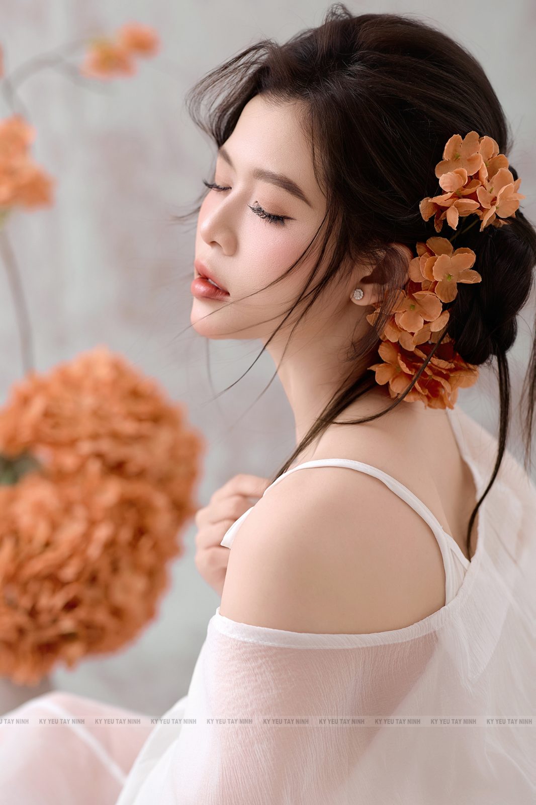 Cẩm tú cầu — ảnh 11
