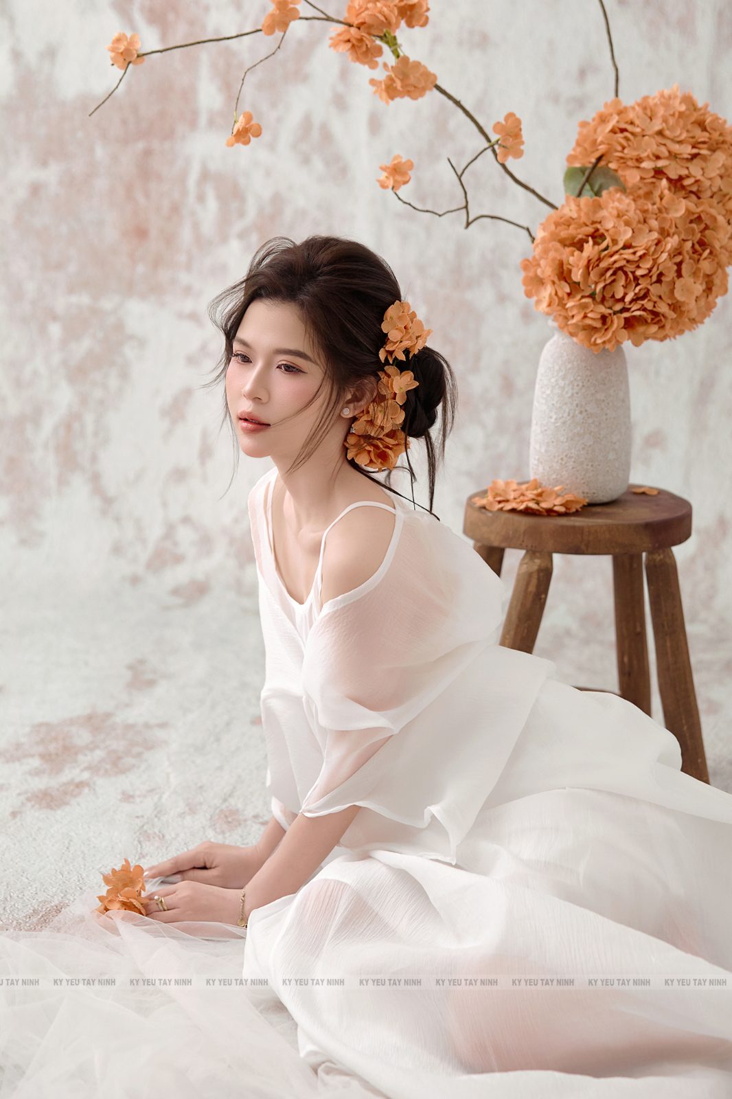 Cẩm tú cầu — ảnh 6
